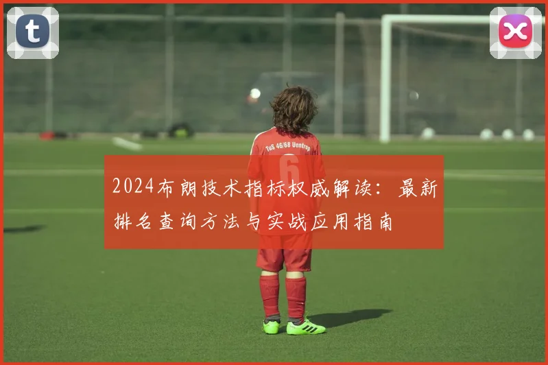 2024布朗技术指标权威解读：最新排名查询方法与实战应用指南
