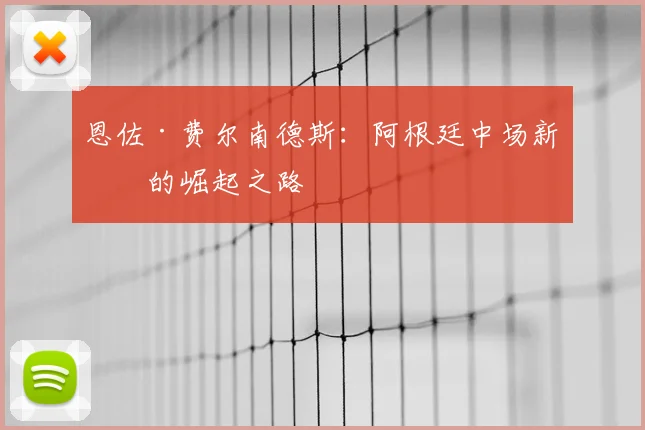 恩佐·费尔南德斯：阿根廷中场新星的崛起之路